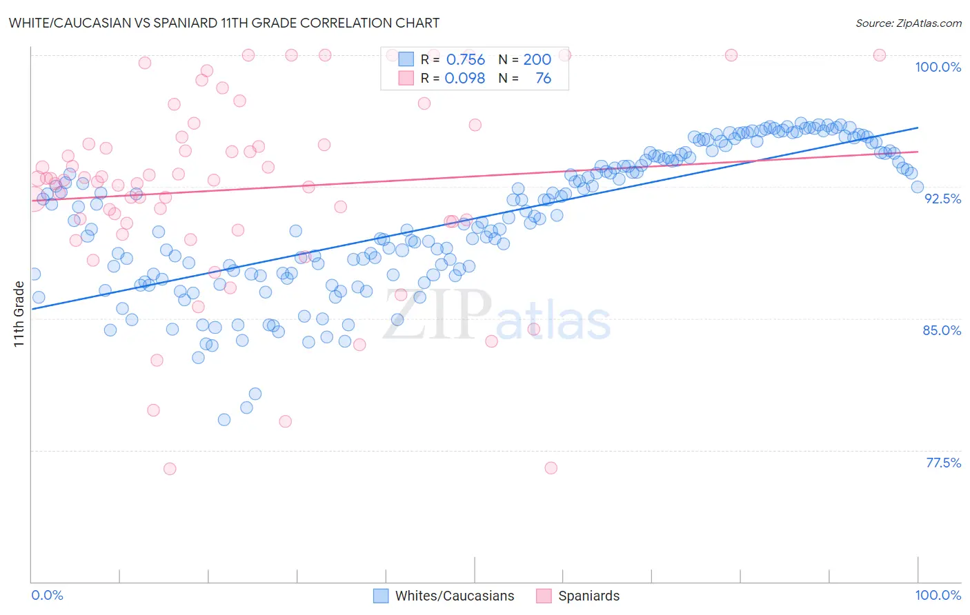 White/Caucasian vs Spaniard 11th Grade