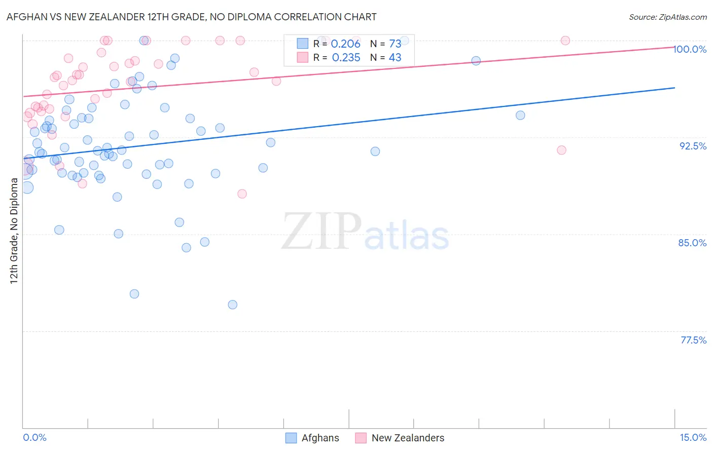 Afghan vs New Zealander 12th Grade, No Diploma