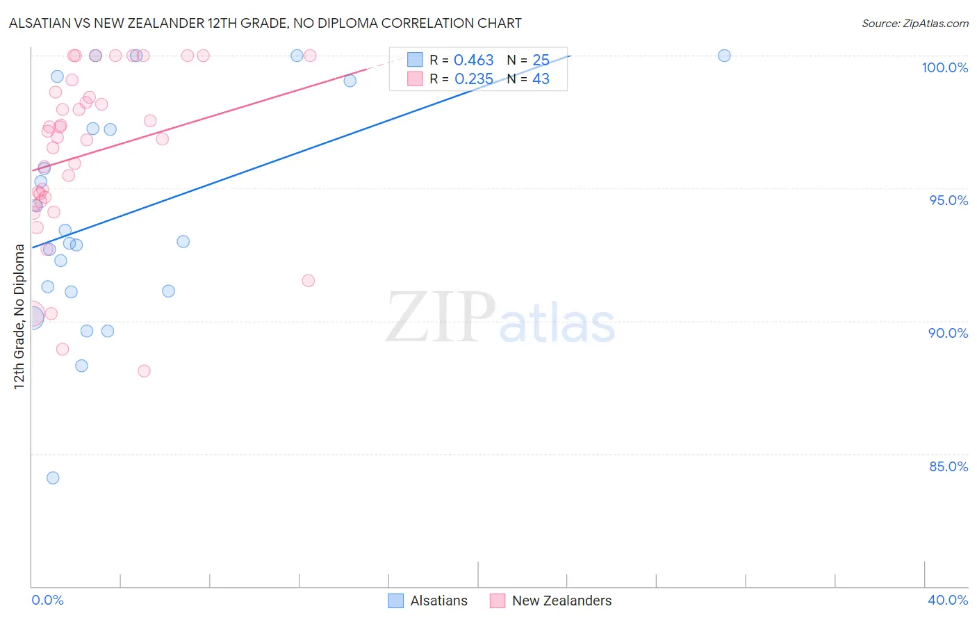 Alsatian vs New Zealander 12th Grade, No Diploma