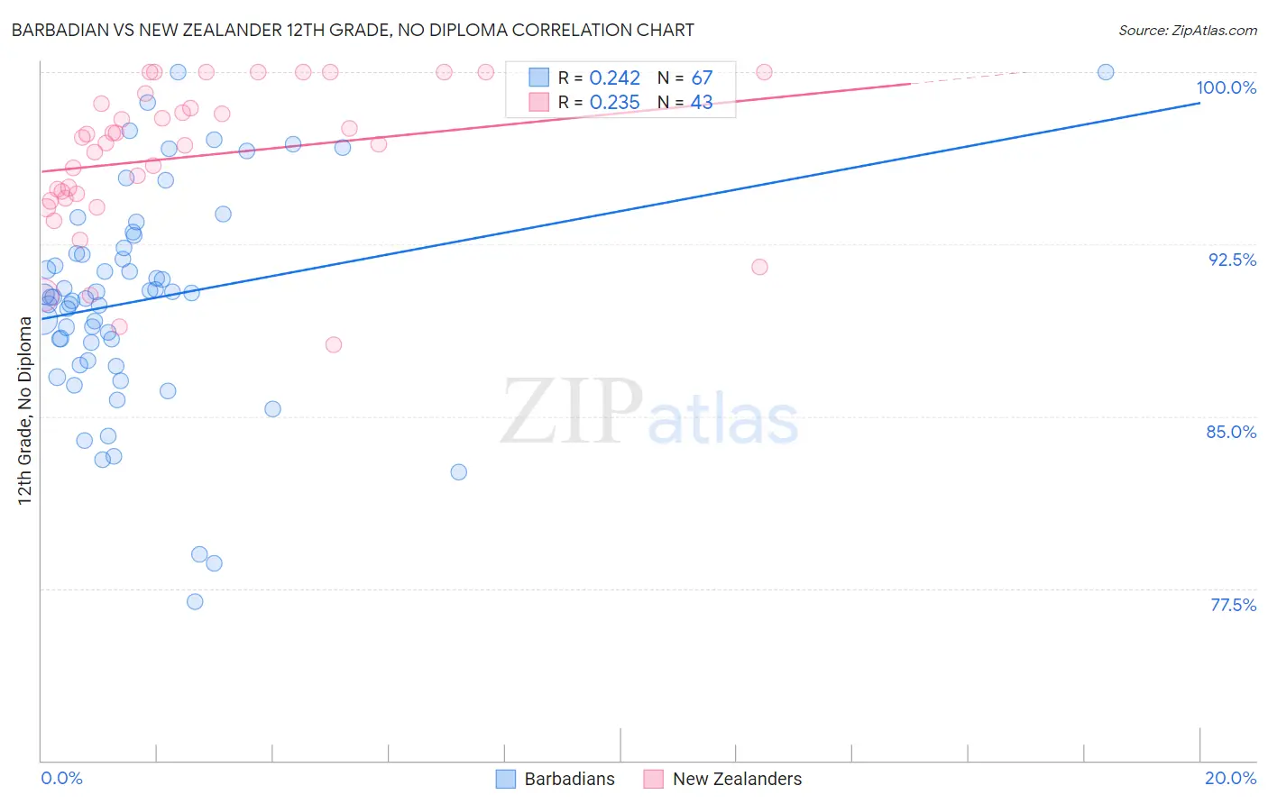 Barbadian vs New Zealander 12th Grade, No Diploma