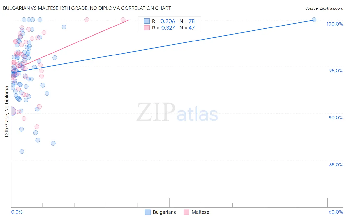 Bulgarian vs Maltese 12th Grade, No Diploma