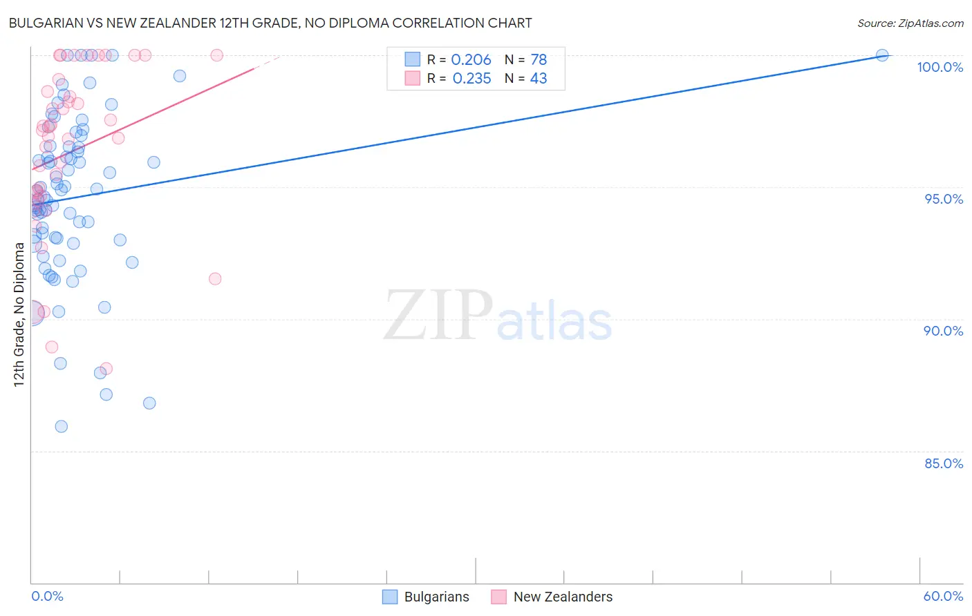 Bulgarian vs New Zealander 12th Grade, No Diploma