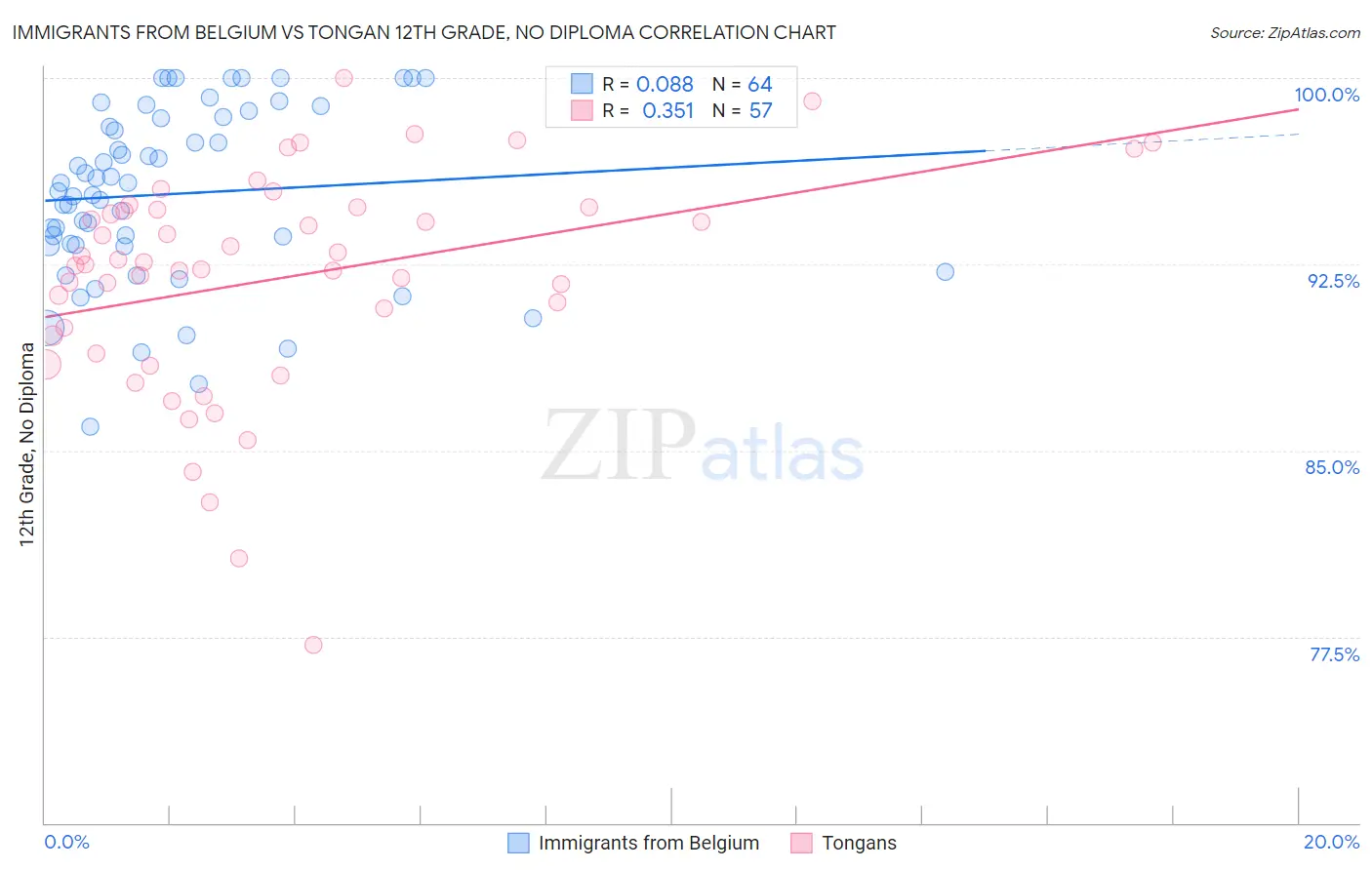 Immigrants from Belgium vs Tongan 12th Grade, No Diploma