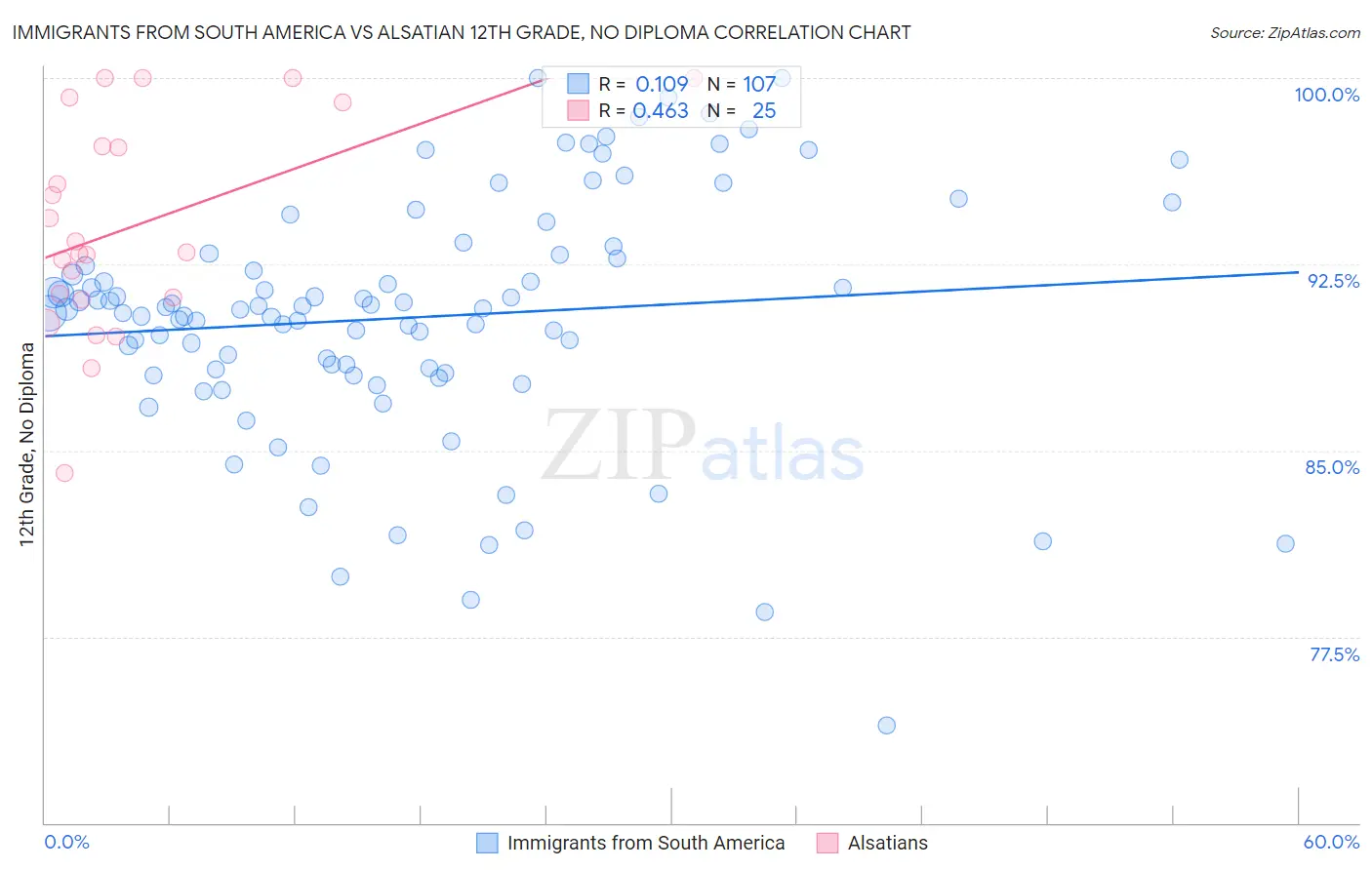 Immigrants from South America vs Alsatian 12th Grade, No Diploma