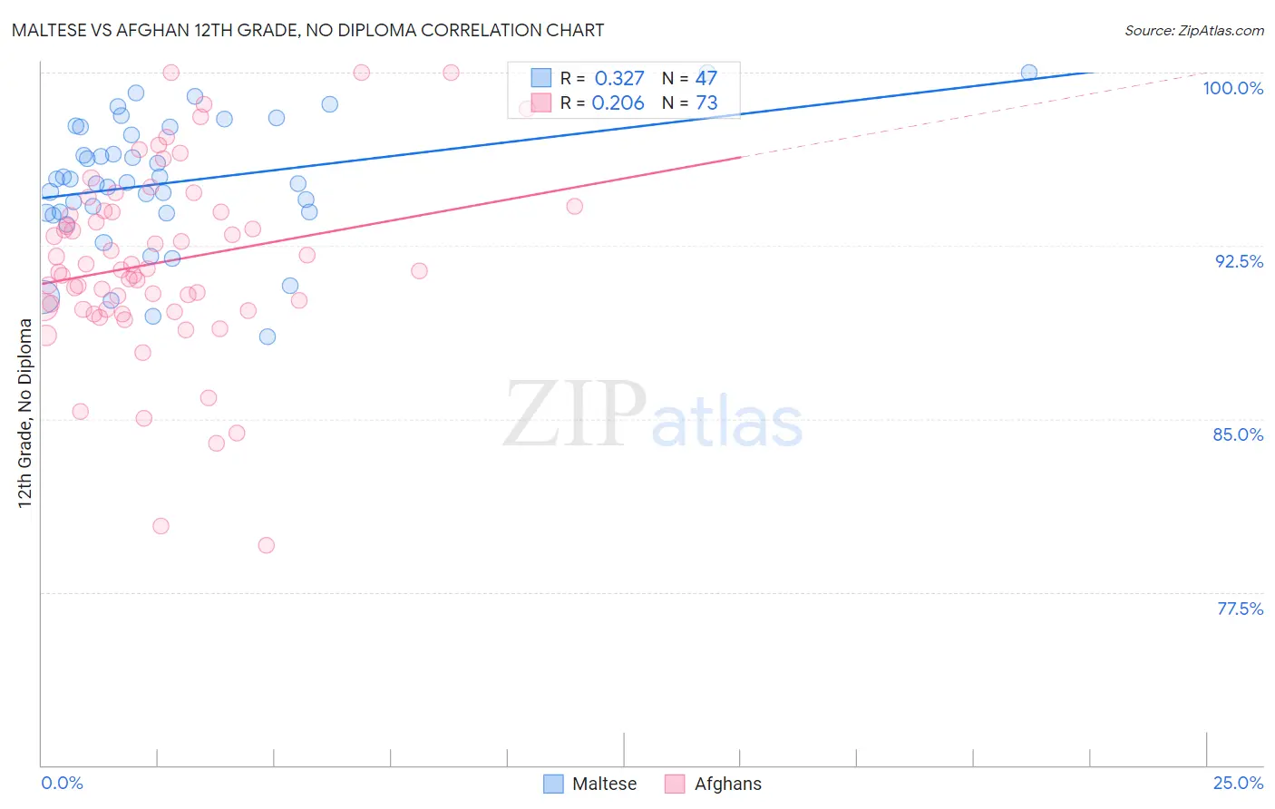 Maltese vs Afghan 12th Grade, No Diploma