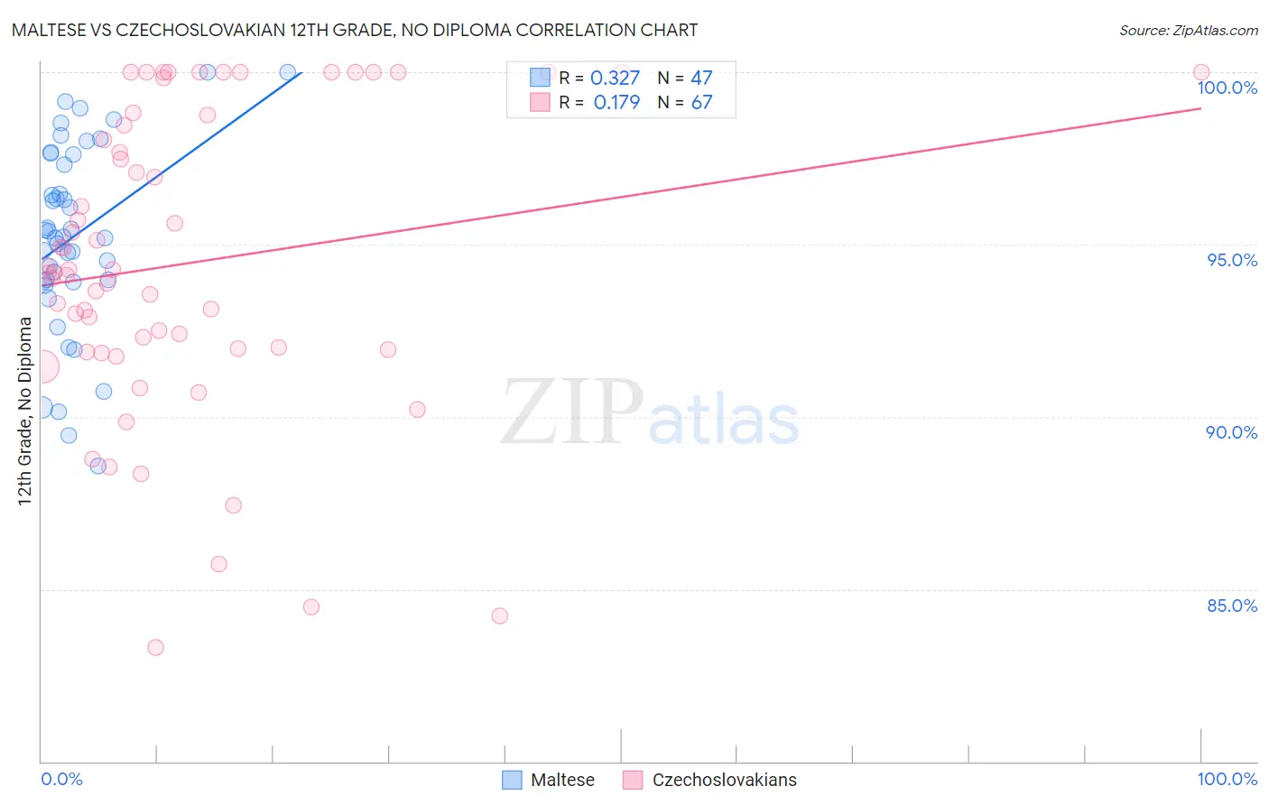 Maltese vs Czechoslovakian 12th Grade, No Diploma