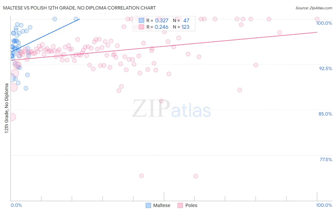 Maltese vs Polish 12th Grade, No Diploma