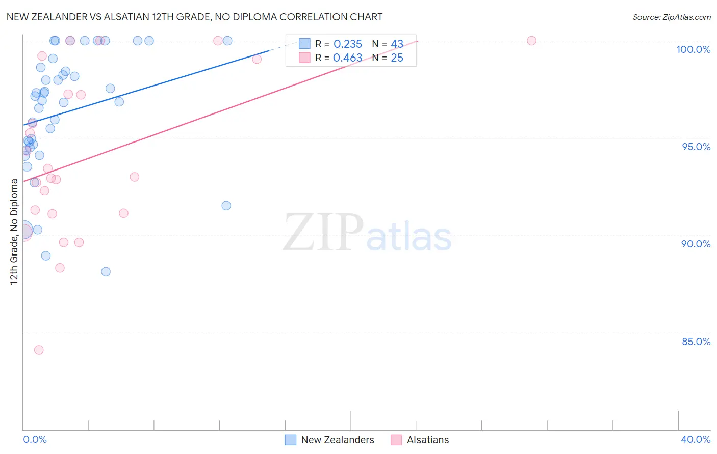 New Zealander vs Alsatian 12th Grade, No Diploma