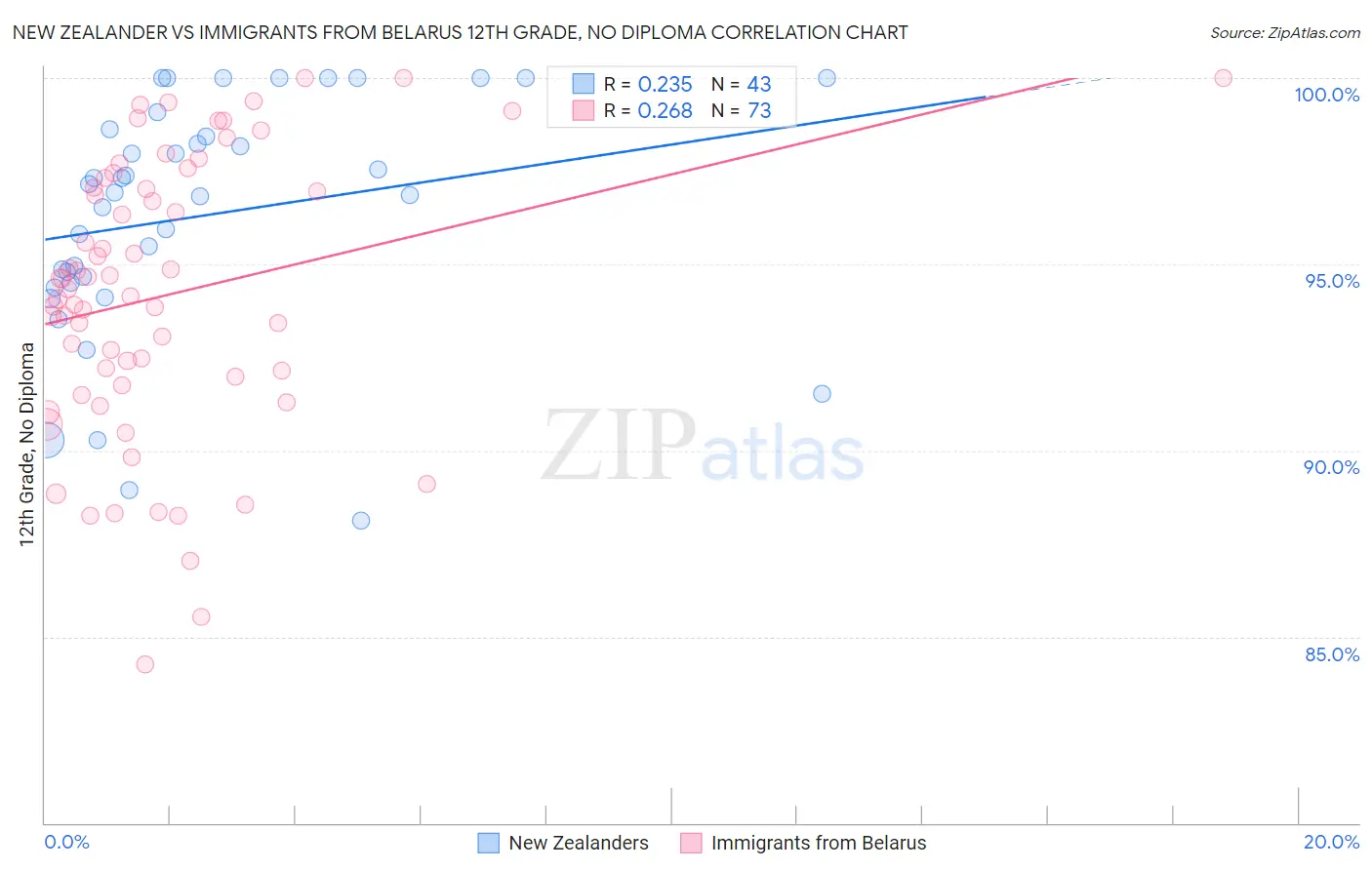 New Zealander vs Immigrants from Belarus 12th Grade, No Diploma