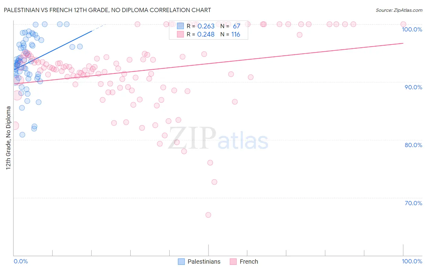 Palestinian vs French 12th Grade, No Diploma