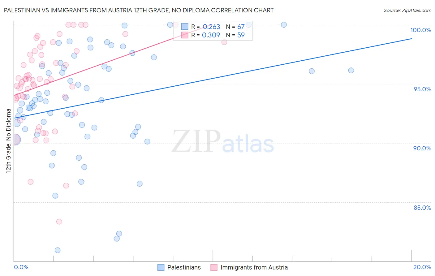Palestinian vs Immigrants from Austria 12th Grade, No Diploma