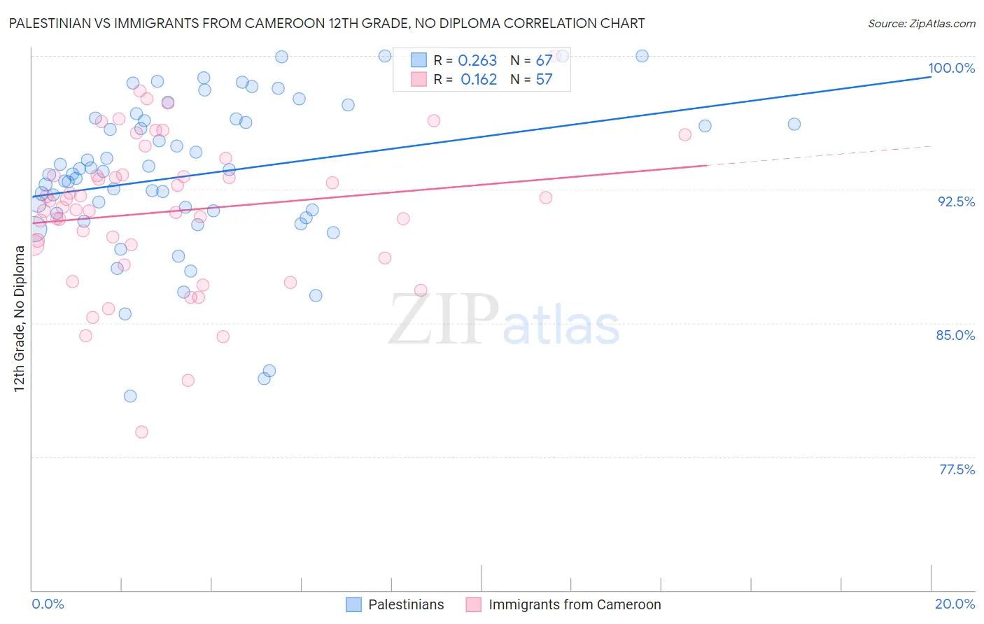 Palestinian vs Immigrants from Cameroon 12th Grade, No Diploma