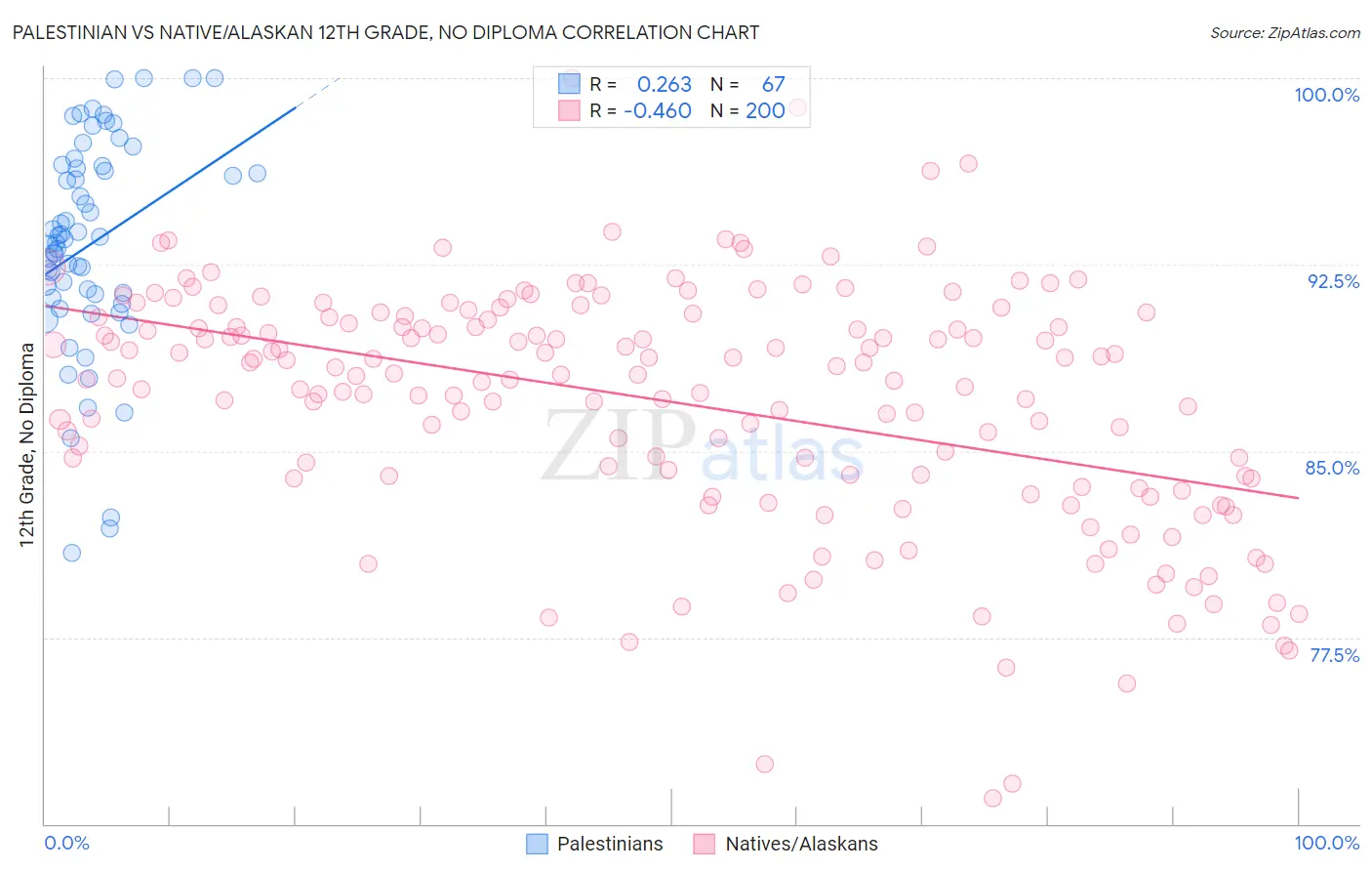 Palestinian vs Native/Alaskan 12th Grade, No Diploma