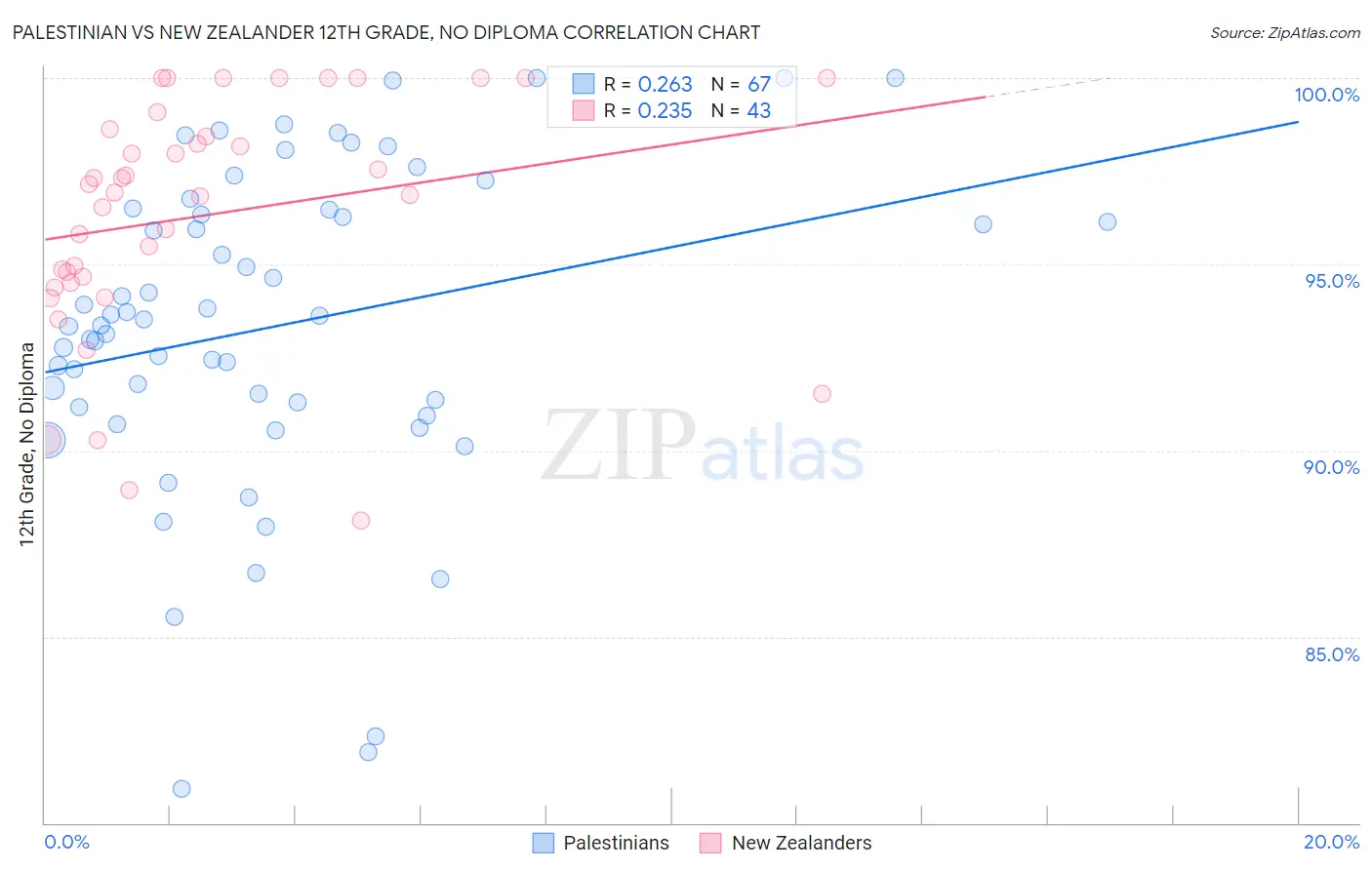 Palestinian vs New Zealander 12th Grade, No Diploma