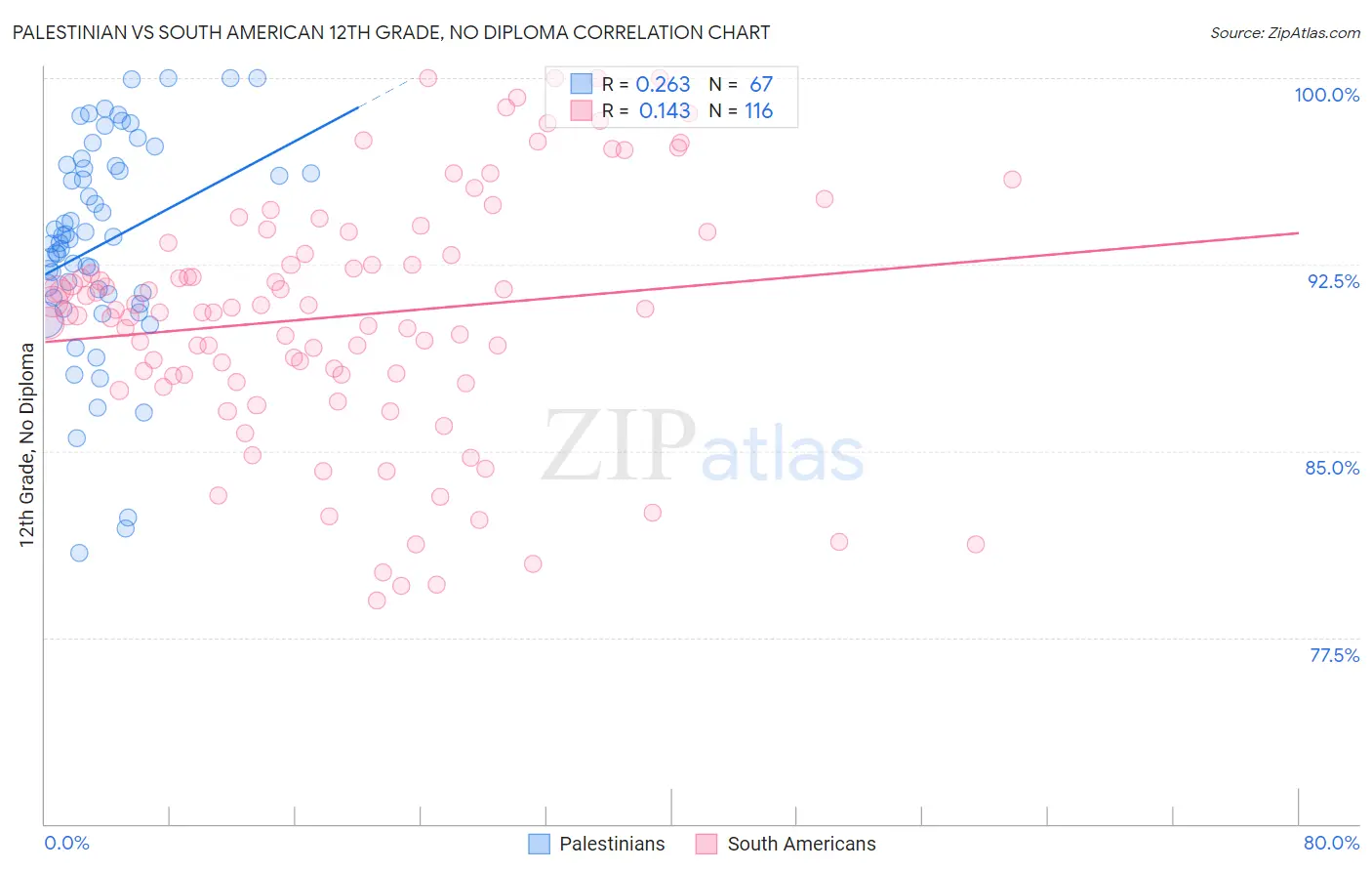 Palestinian vs South American 12th Grade, No Diploma