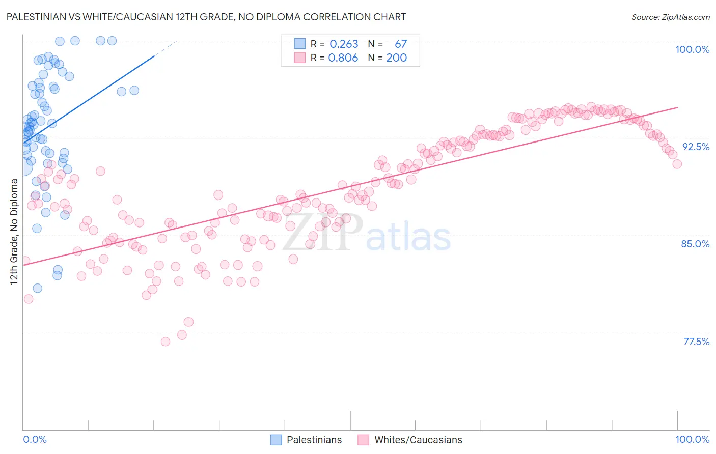 Palestinian vs White/Caucasian 12th Grade, No Diploma