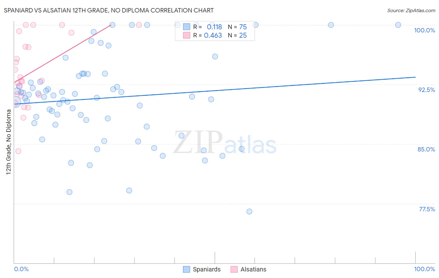Spaniard vs Alsatian 12th Grade, No Diploma