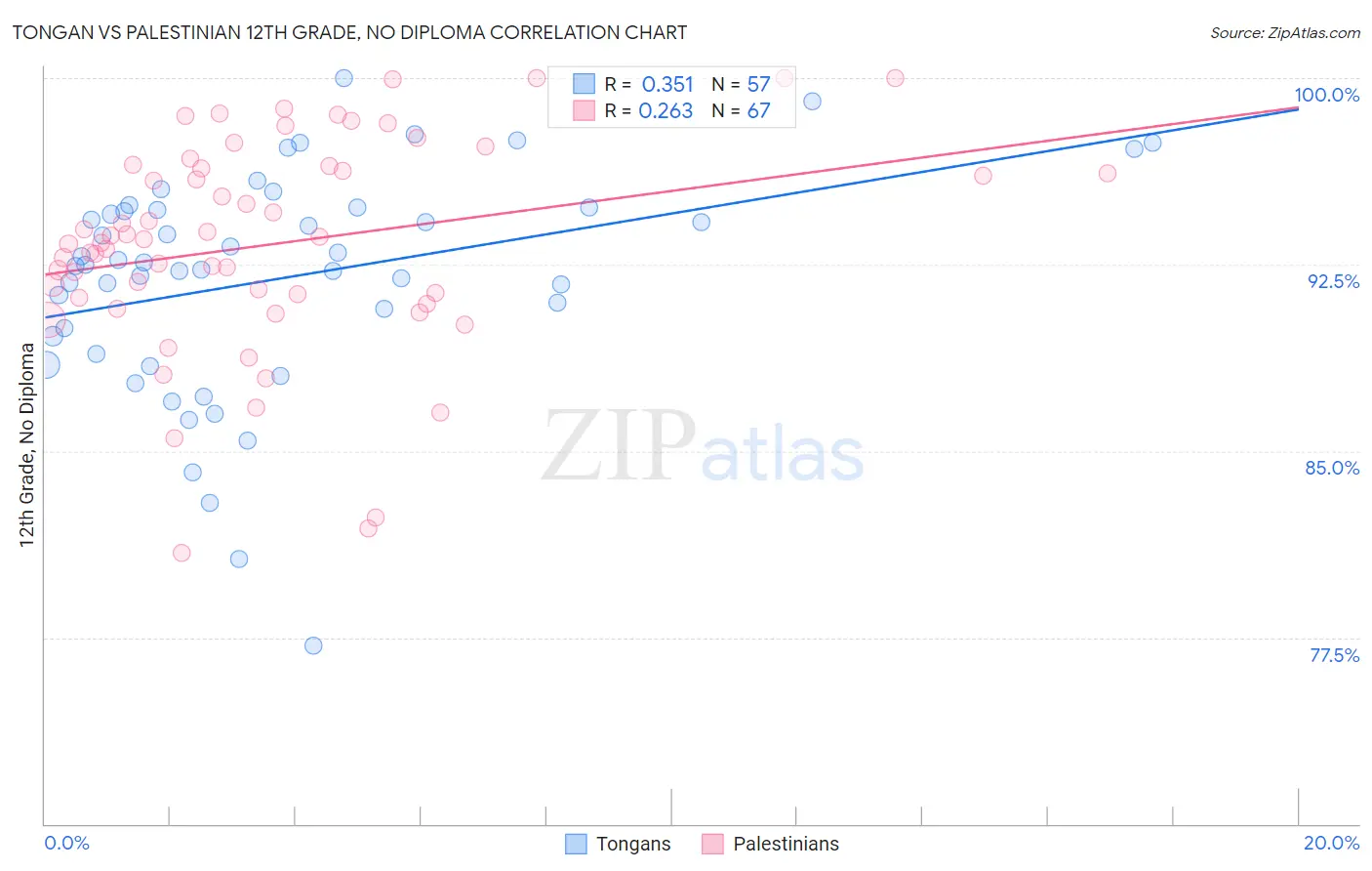Tongan vs Palestinian 12th Grade, No Diploma