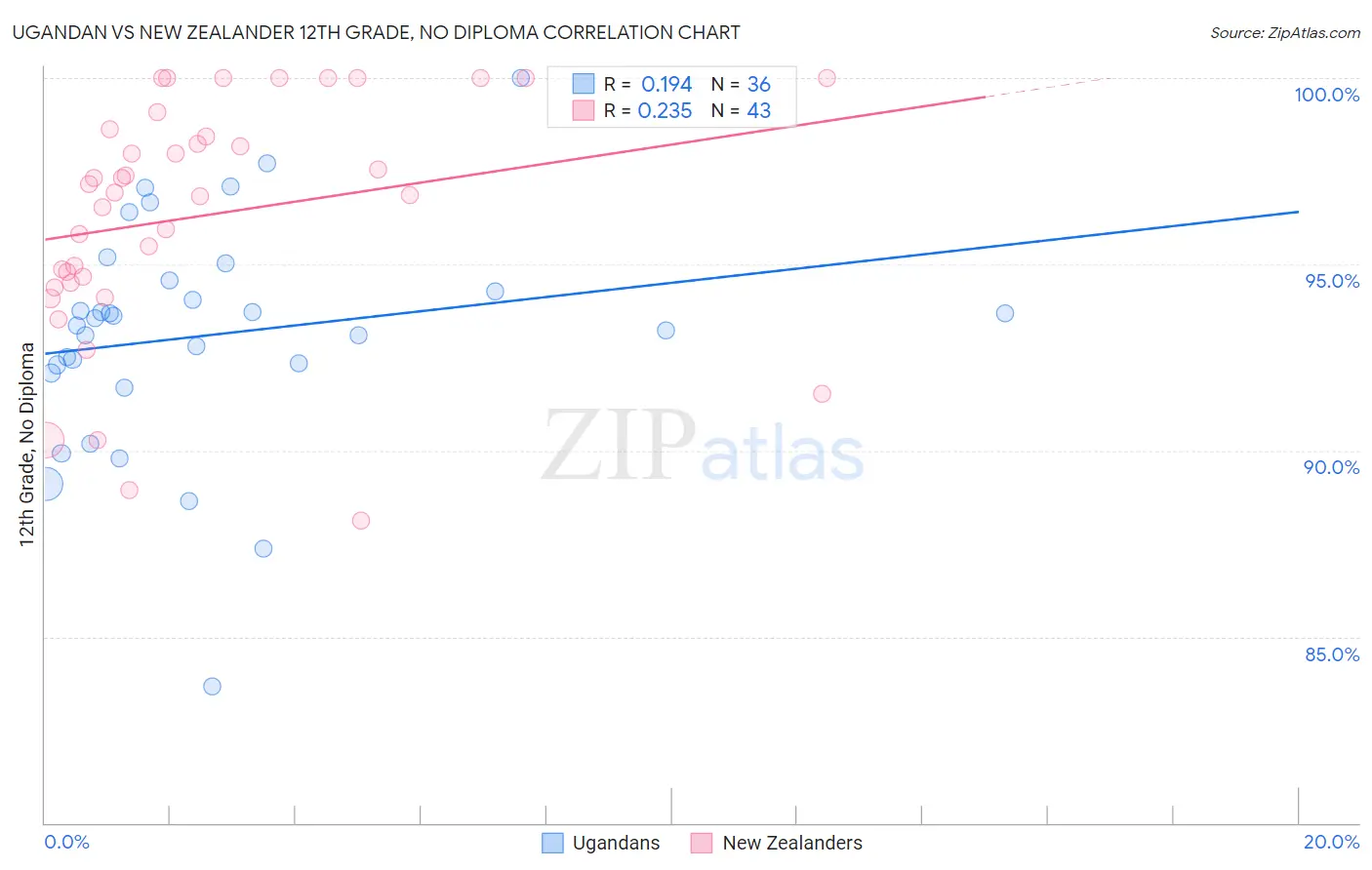 Ugandan vs New Zealander 12th Grade, No Diploma
