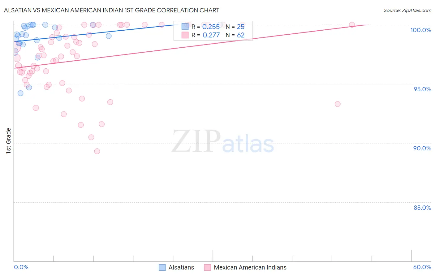 Alsatian vs Mexican American Indian 1st Grade
