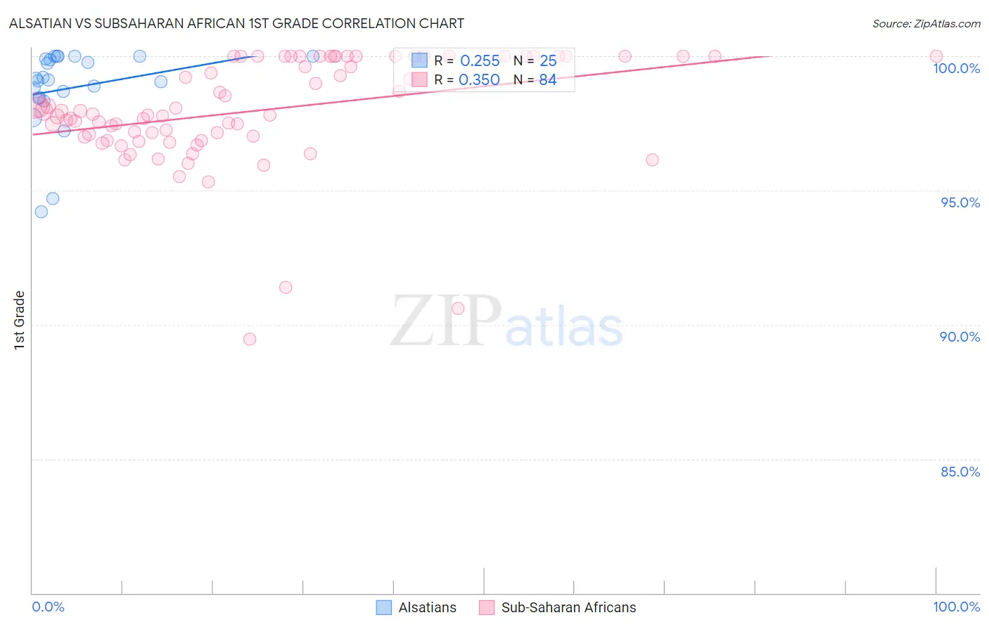 Alsatian vs Subsaharan African 1st Grade