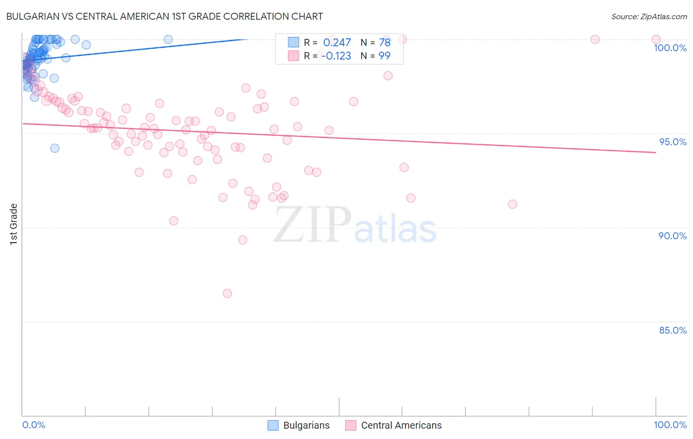 Bulgarian vs Central American 1st Grade