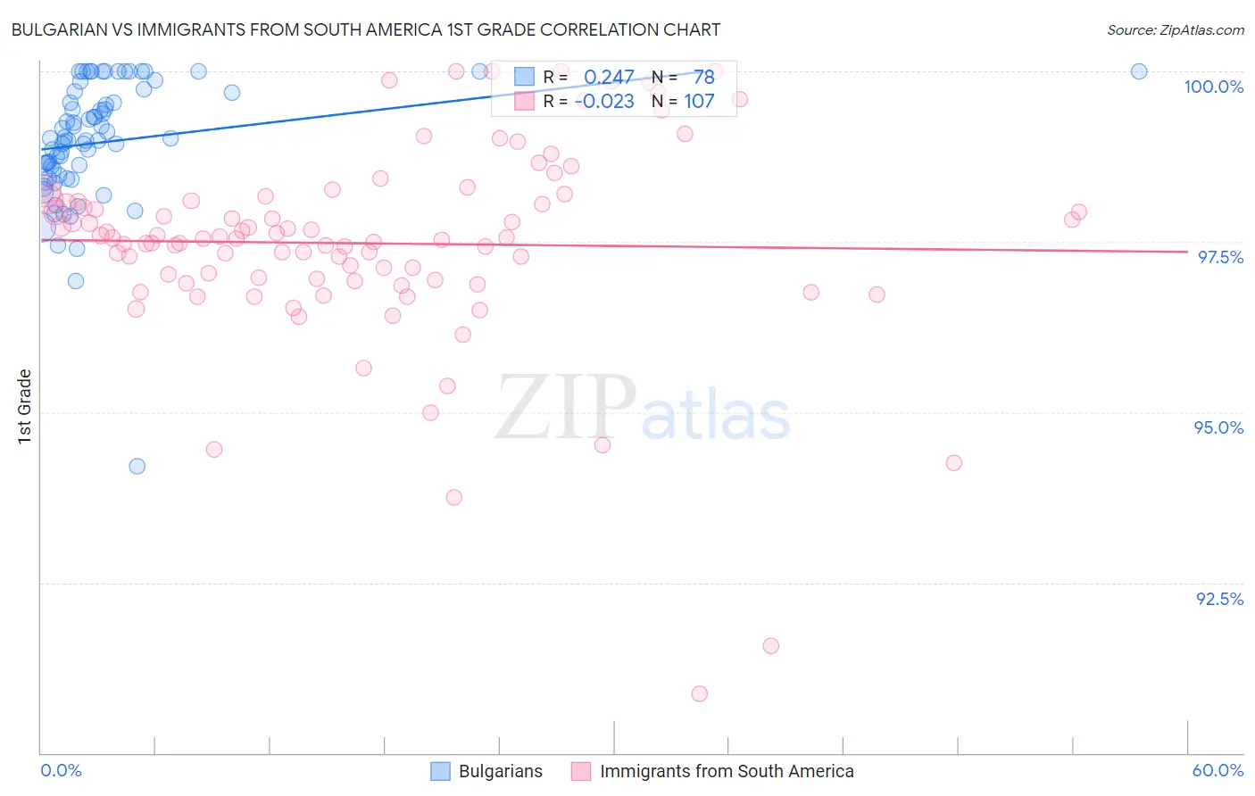 Bulgarian vs Immigrants from South America 1st Grade