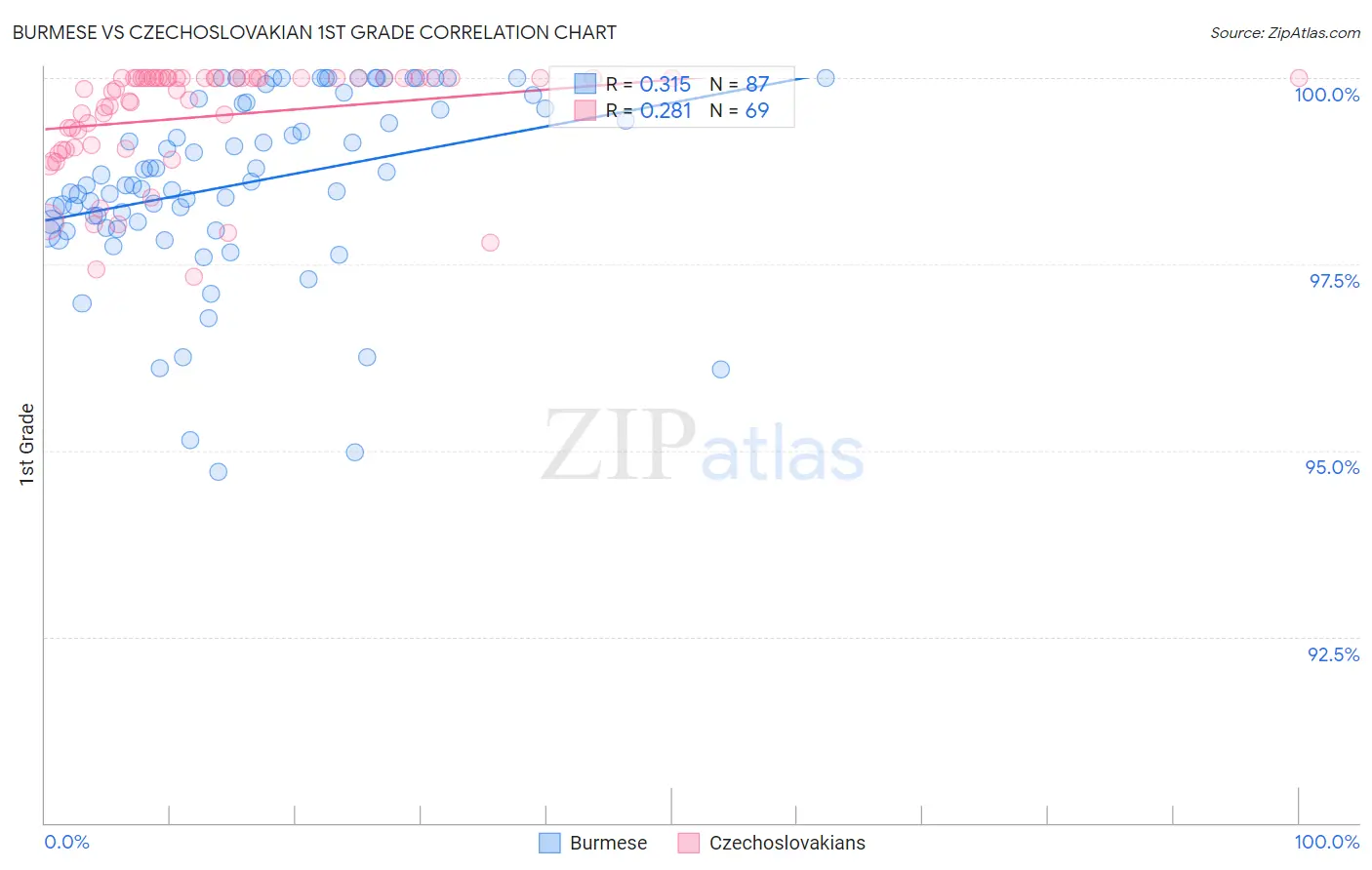 Burmese vs Czechoslovakian 1st Grade