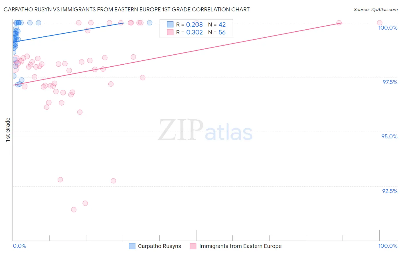 Carpatho Rusyn vs Immigrants from Eastern Europe 1st Grade