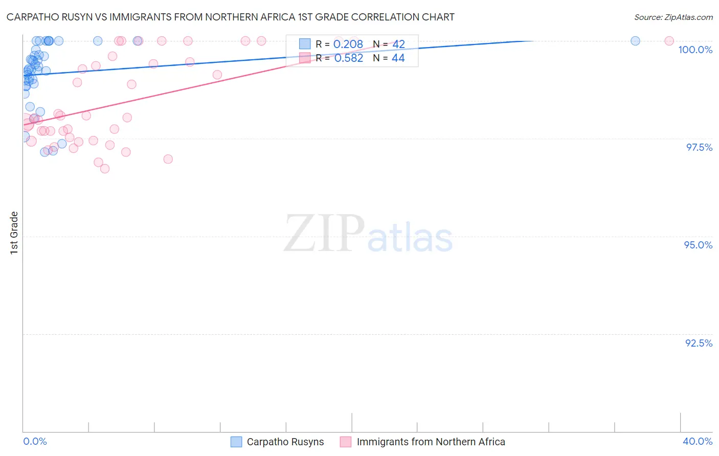 Carpatho Rusyn vs Immigrants from Northern Africa 1st Grade