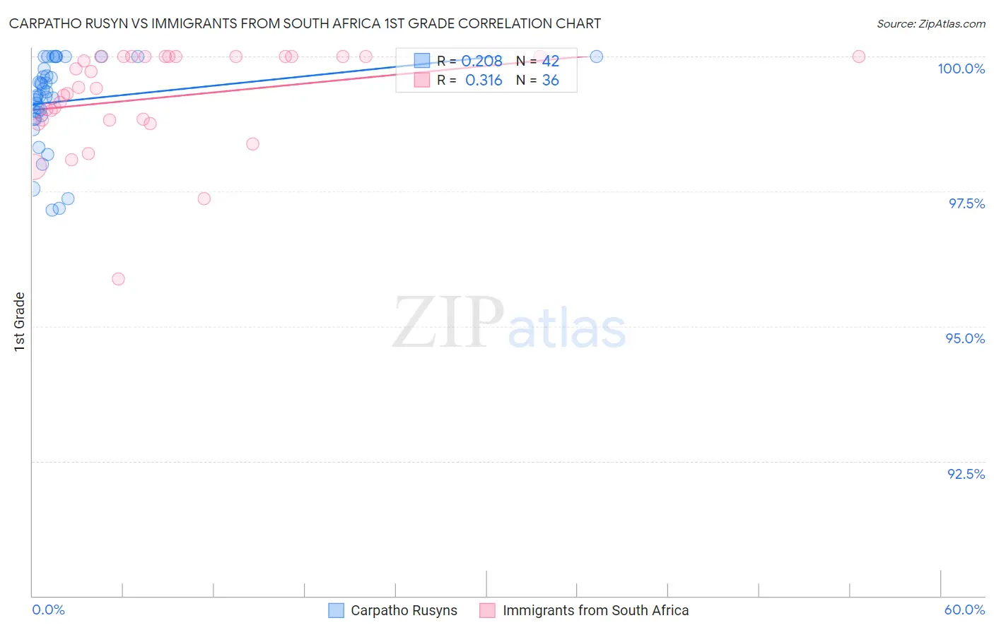 Carpatho Rusyn vs Immigrants from South Africa 1st Grade