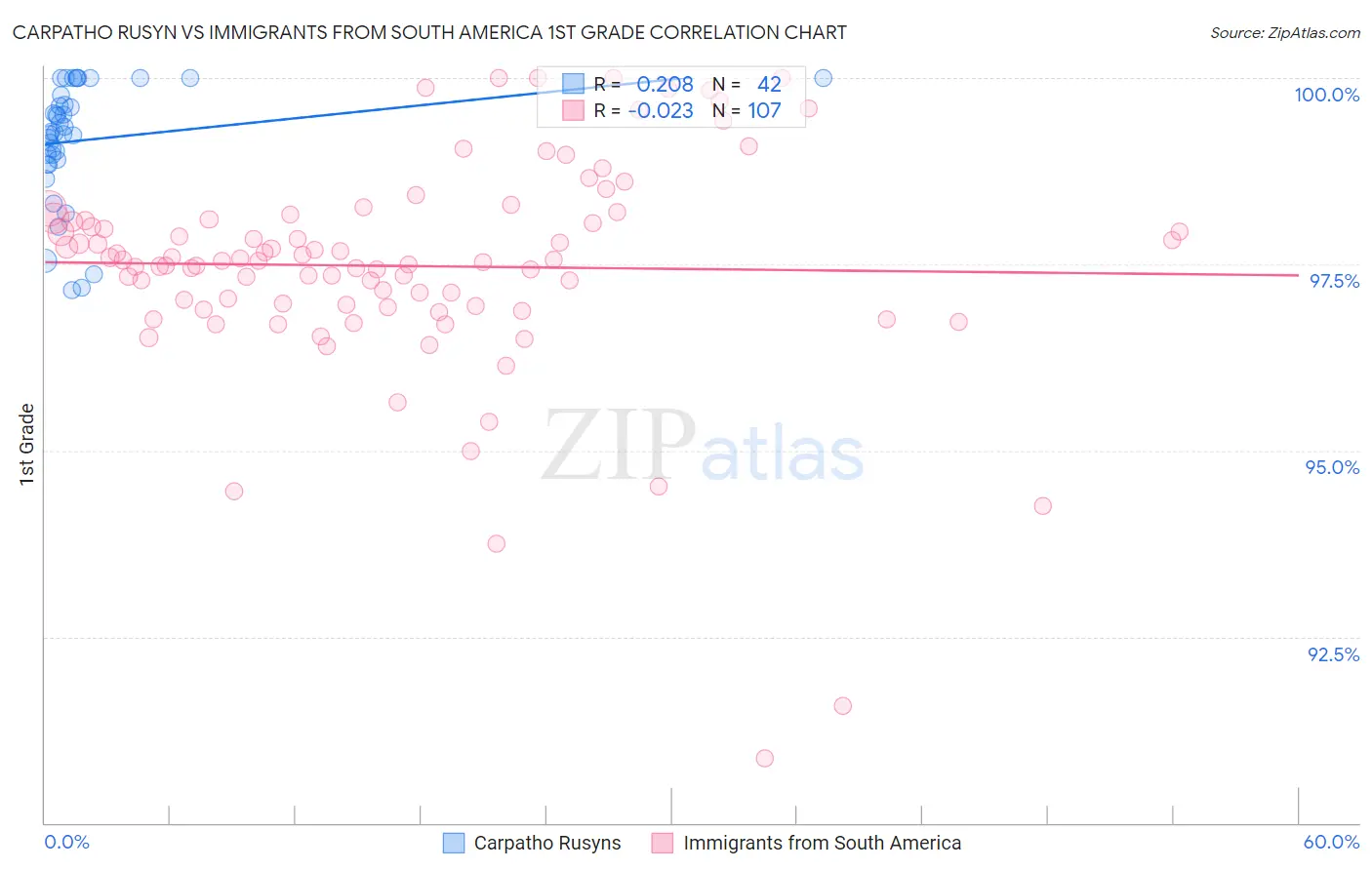 Carpatho Rusyn vs Immigrants from South America 1st Grade