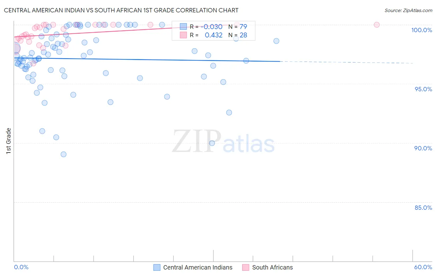 Central American Indian vs South African 1st Grade