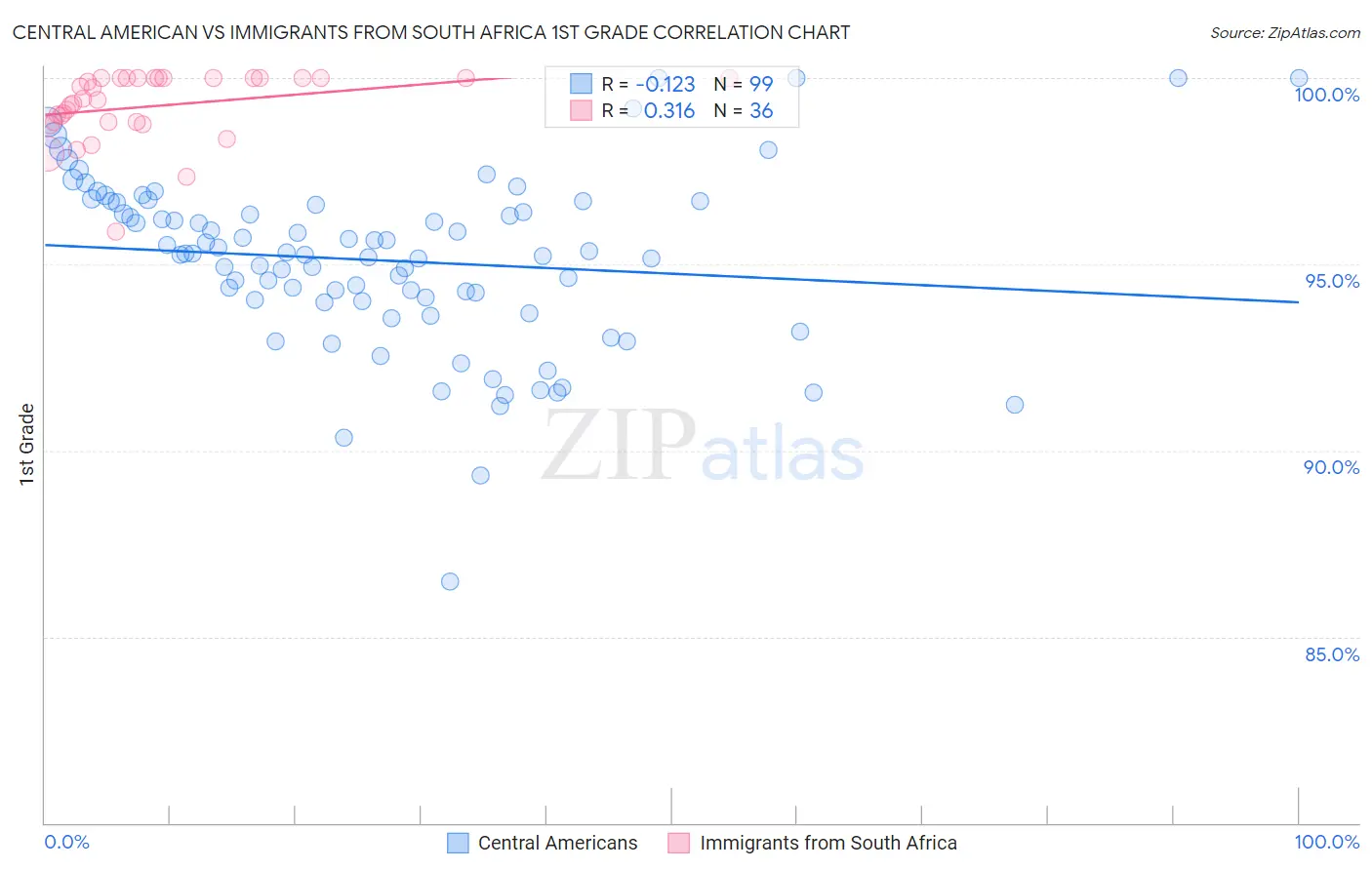 Central American vs Immigrants from South Africa 1st Grade