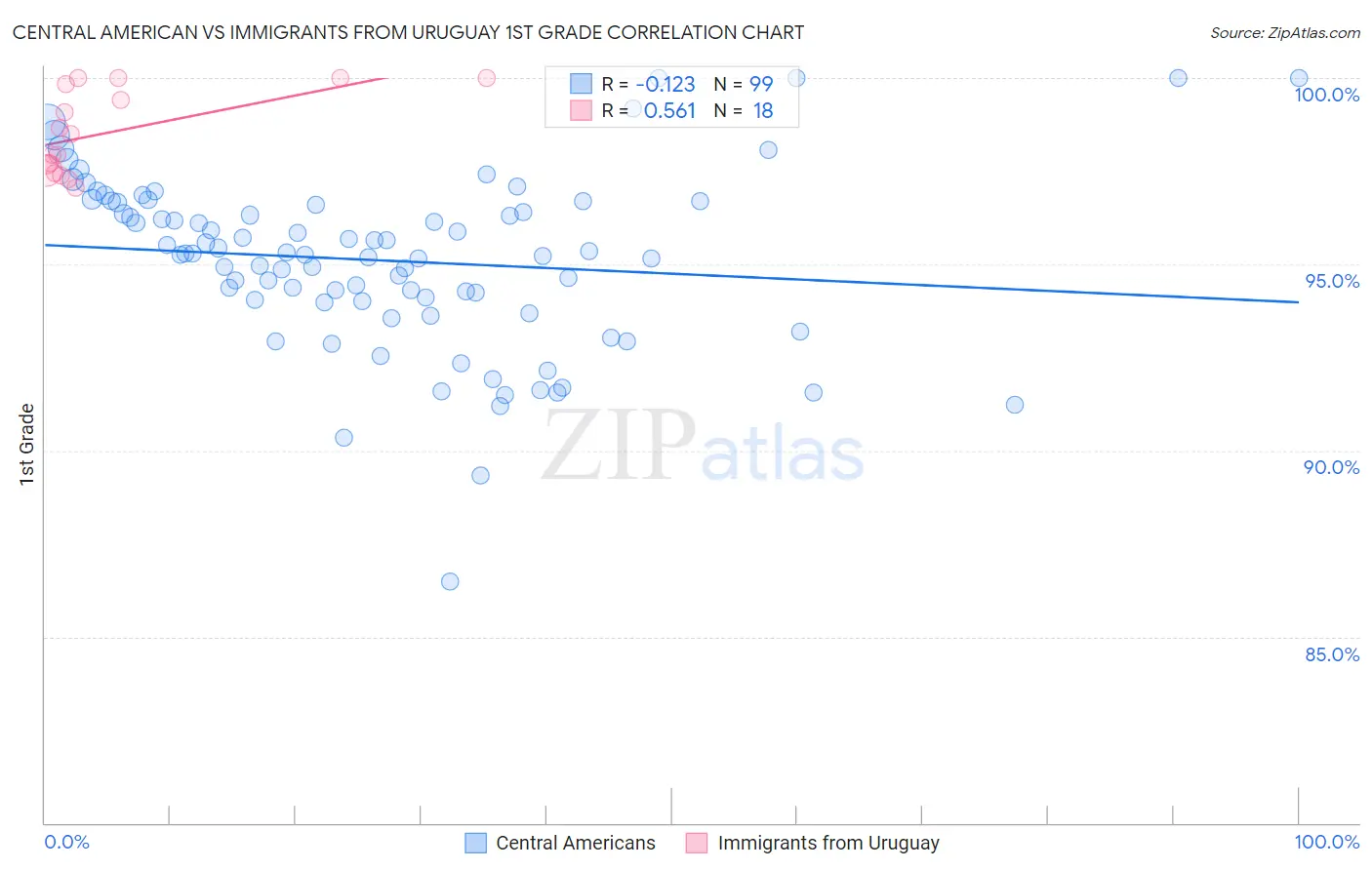 Central American vs Immigrants from Uruguay 1st Grade