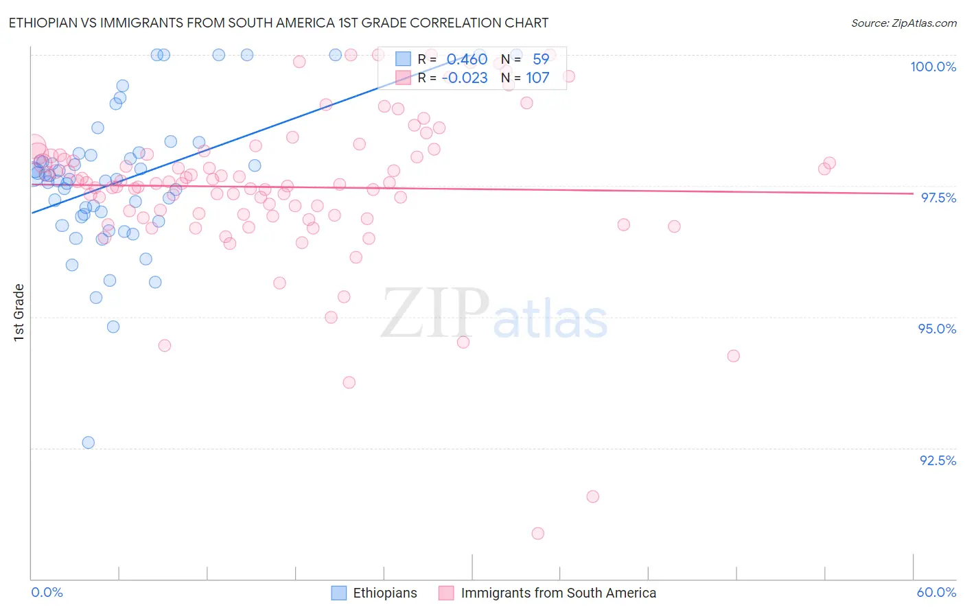 Ethiopian vs Immigrants from South America 1st Grade