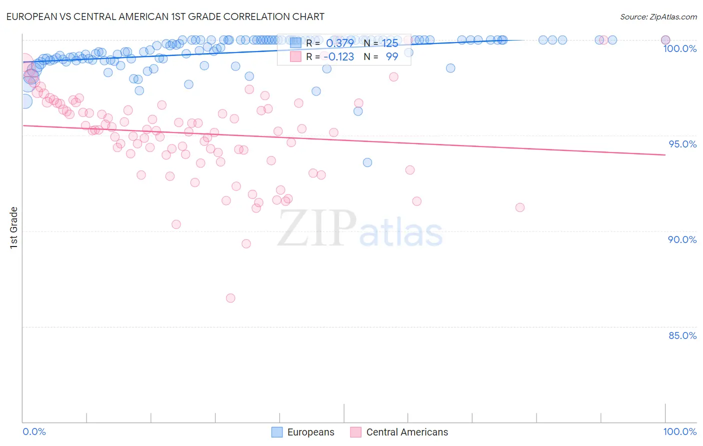 European vs Central American 1st Grade