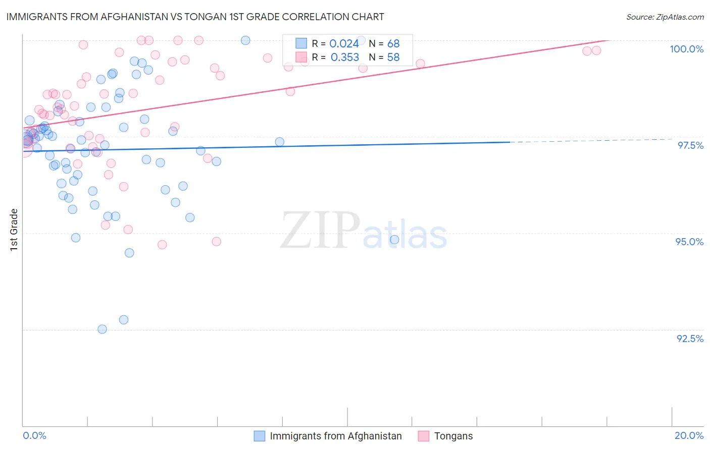 Immigrants from Afghanistan vs Tongan 1st Grade