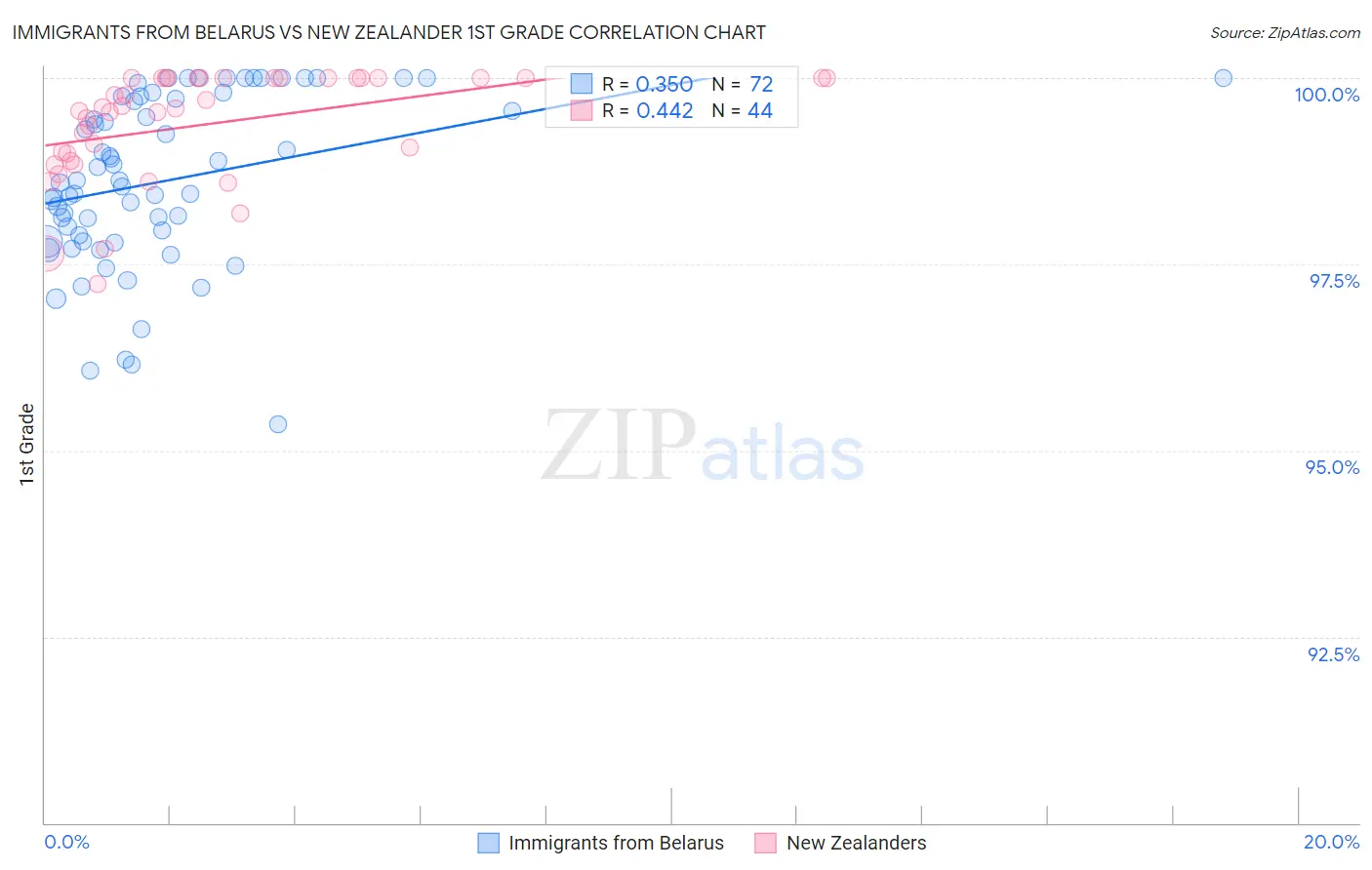 Immigrants from Belarus vs New Zealander 1st Grade
