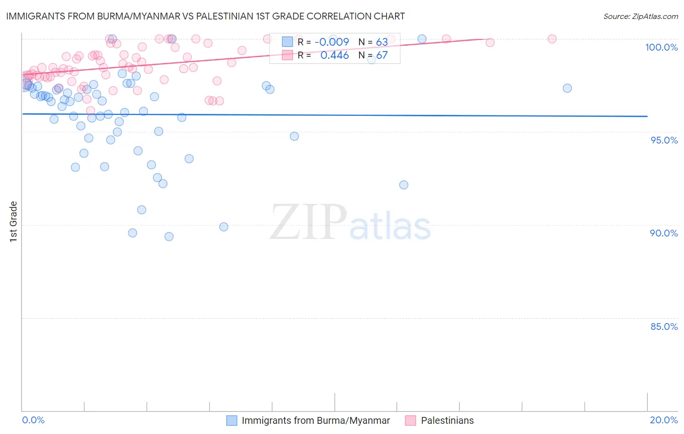 Immigrants from Burma/Myanmar vs Palestinian 1st Grade