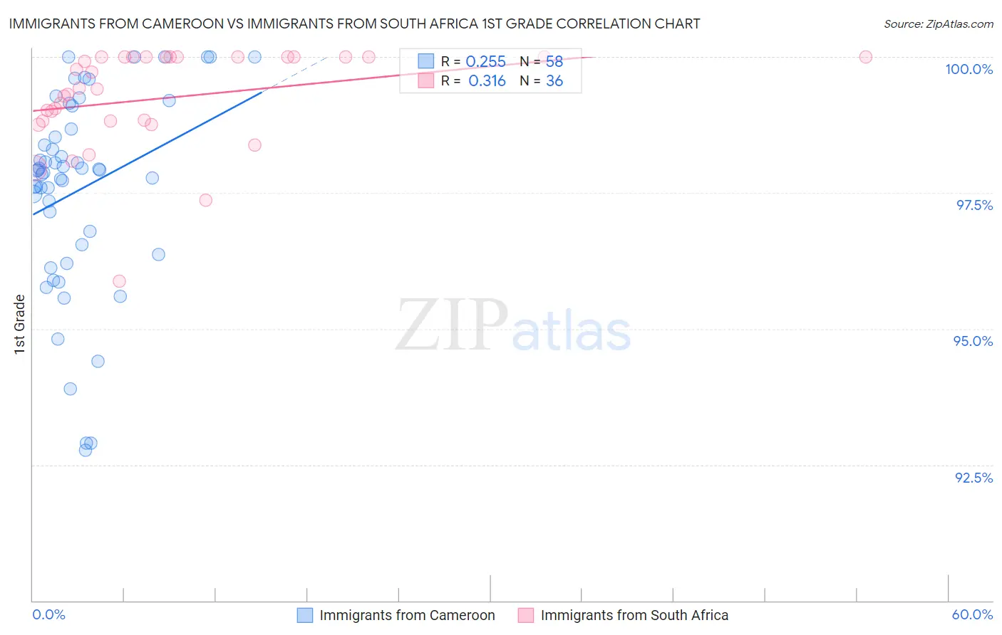 Immigrants from Cameroon vs Immigrants from South Africa 1st Grade
