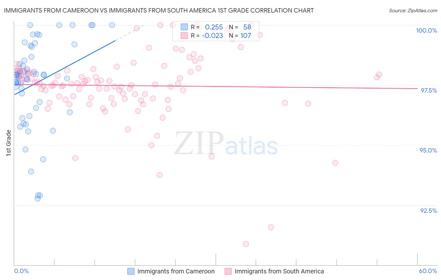 Immigrants from Cameroon vs Immigrants from South America 1st Grade