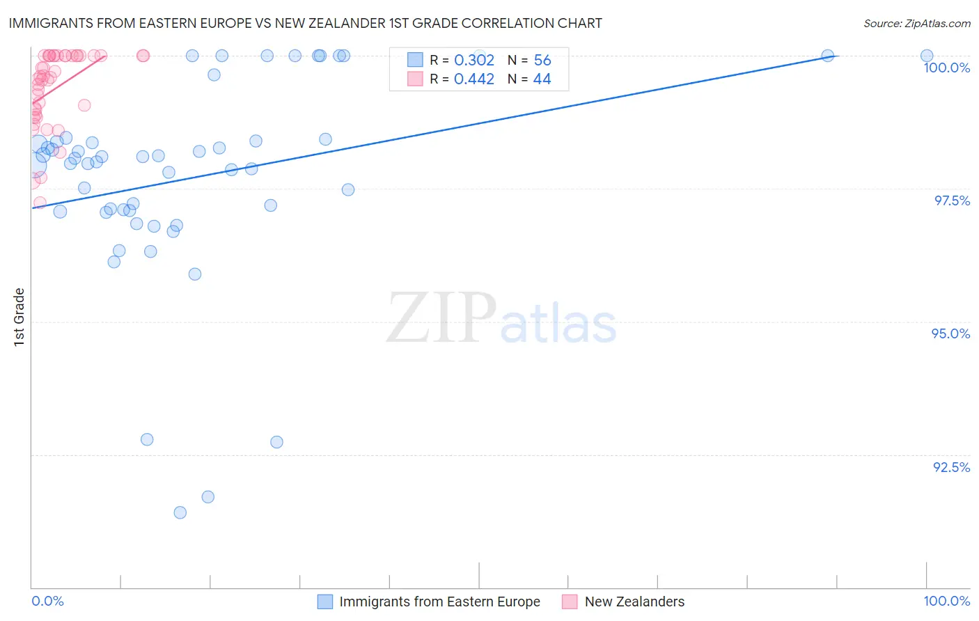 Immigrants from Eastern Europe vs New Zealander 1st Grade