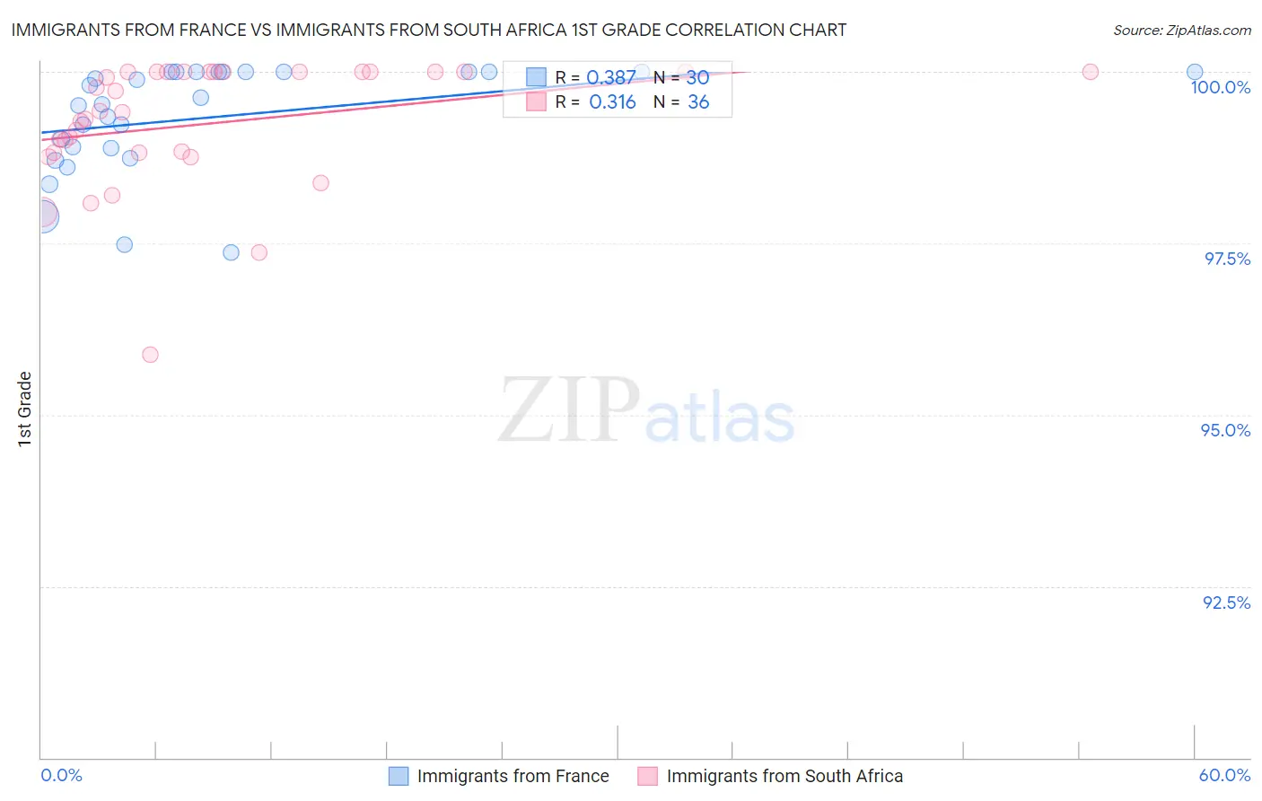 Immigrants from France vs Immigrants from South Africa 1st Grade
