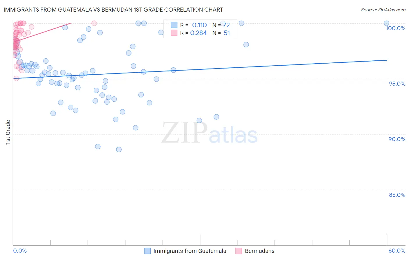 Immigrants from Guatemala vs Bermudan 1st Grade