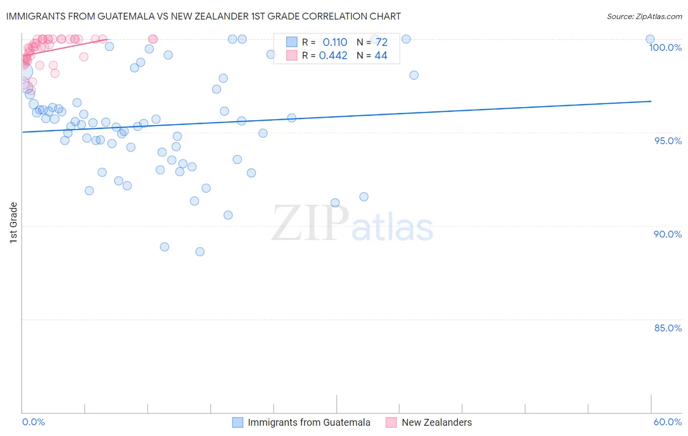 Immigrants from Guatemala vs New Zealander 1st Grade