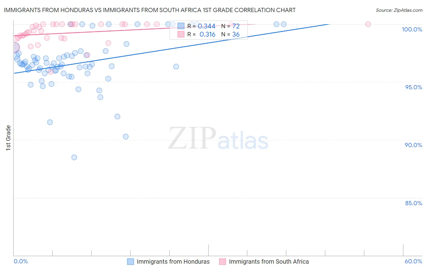 Immigrants from Honduras vs Immigrants from South Africa 1st Grade