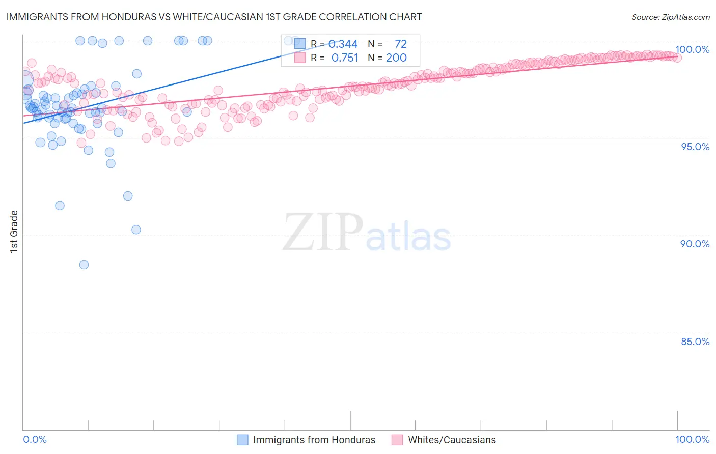 Immigrants from Honduras vs White/Caucasian 1st Grade