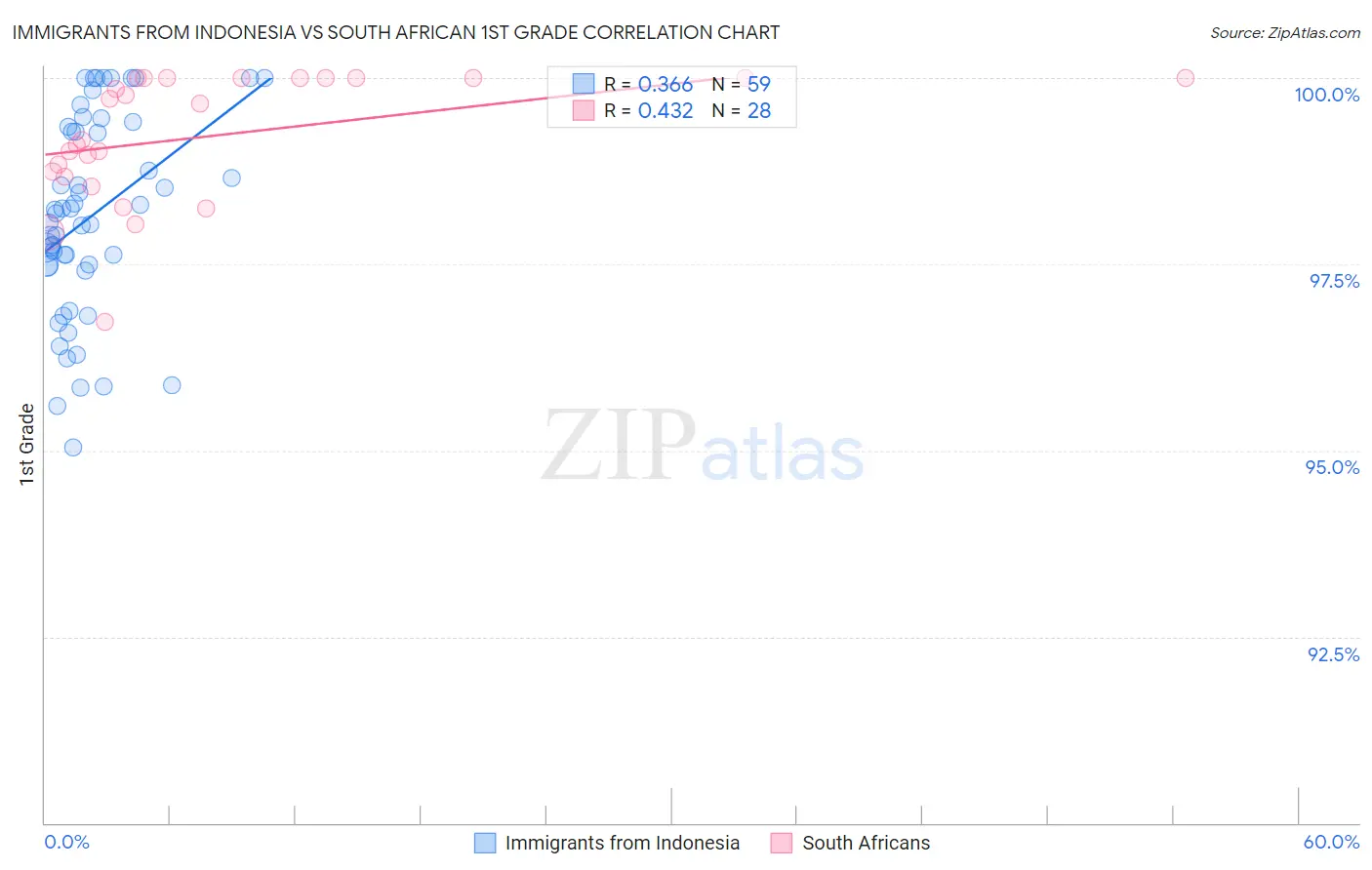 Immigrants from Indonesia vs South African 1st Grade