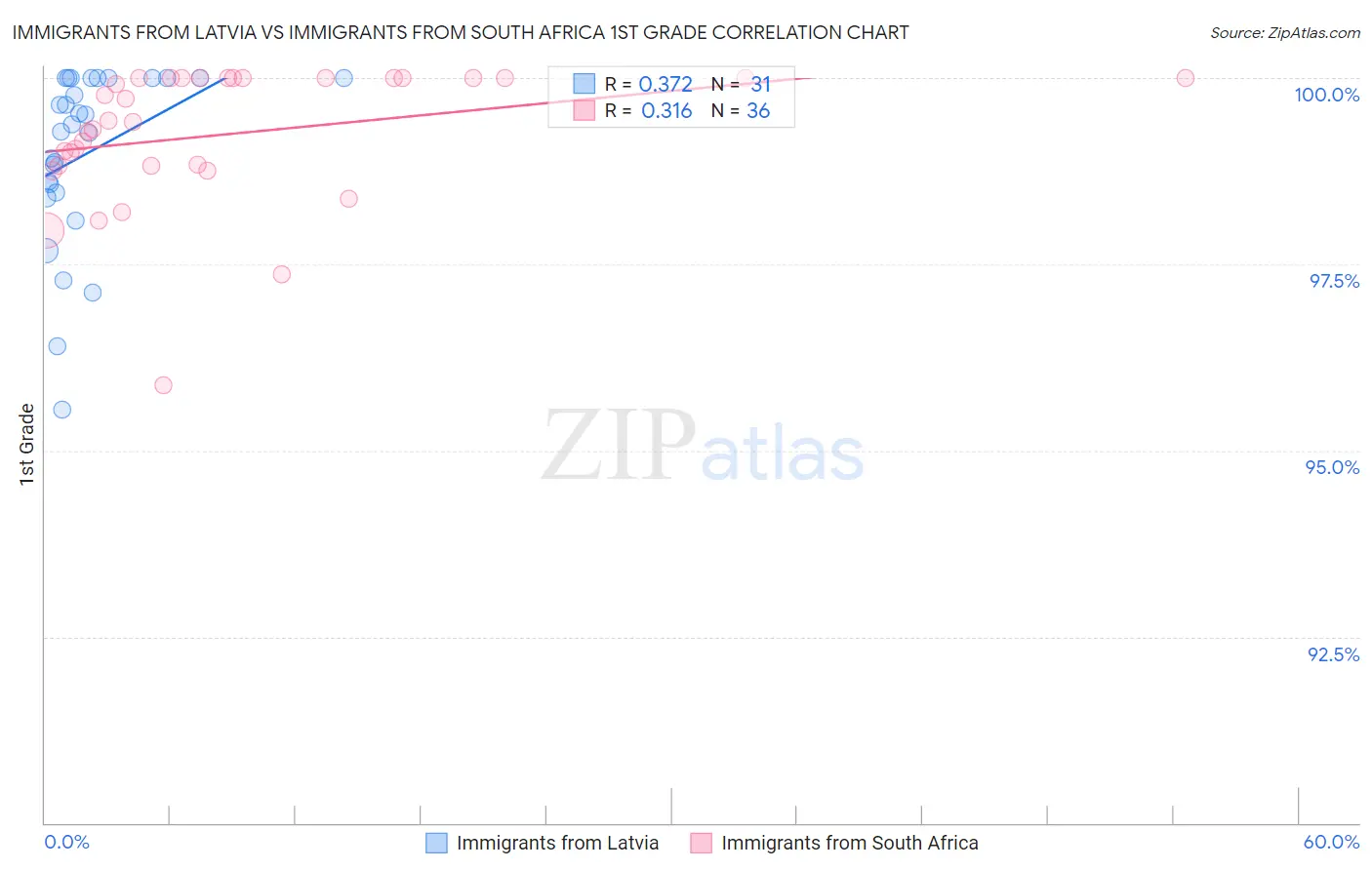 Immigrants from Latvia vs Immigrants from South Africa 1st Grade